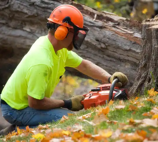 tree services Woodridge